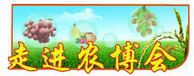 发挥资源优势 打造特色品牌 化州全力建设全球最大化橘红产业基地.jpg